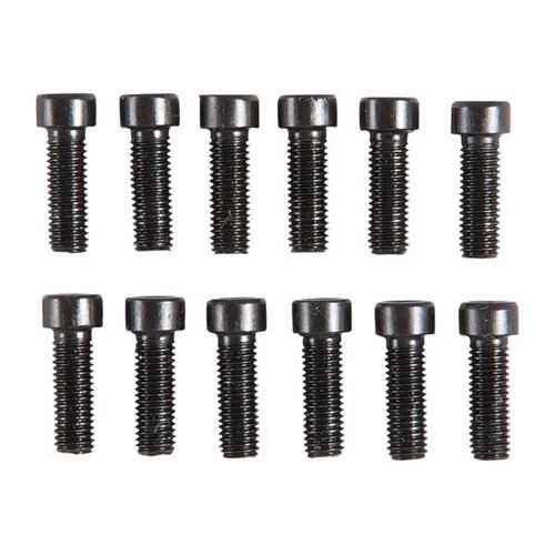 Fyll på din Leupold skruvkit med dessa starka, värmebehandlade Torx-skruvar i praktiska 12-pack, perfekta för montering av kikarsikten.