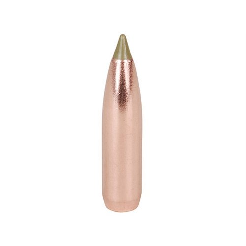 Nosler 9.3mm 250-grain E-Tip kulor erbjuder djup penetration och enhetlig expansion med 95% viktbevarande, perfekt för icke-ledande zoner.