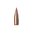 Upptäck Hornady V-MAX 17 Caliber (.172) rifle bullets med polymer spets för maximal precision och explosiv fragmentering. Köp nu och förbättra din skjutupplevelse! 🎯💥