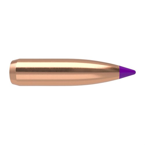 NOSLER Ballistic Tip 6mm (0.243