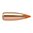 Nosler Ballistic Tip Varmint 22 Caliber Spitzer Bullets kombinerar precision och prestanda för jakt och tävling. Perfekt för magasinfodrade gevär. 🚀 Lär dig mer!