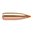 Nosler Ballistic Tip Varmint 22 Caliber Spitzer-kulor erbjuder precision och prestanda med en polykarbonatspets. Perfekt för jakt! 🦌🔫 Lär dig mer.