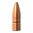 Upptäck TRIPLE-SHOCK X 22 Caliber-kulor från Barnes Bullets! Dessa premium jaktkulor av 100% koppar ger extrem penetration och precision. Köp nu! 🦌🔫